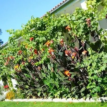 别墅 Charming With Private Pool In La Calzada de Béjar