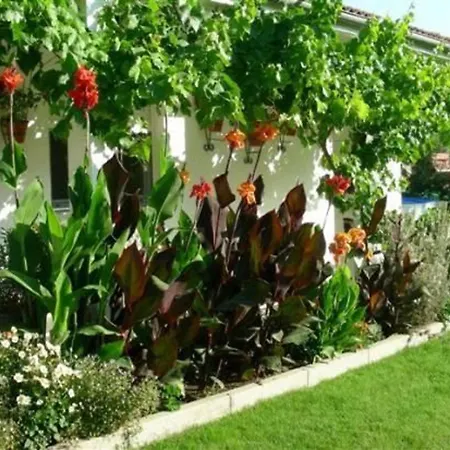 Charming With Private Pool In فيلة *