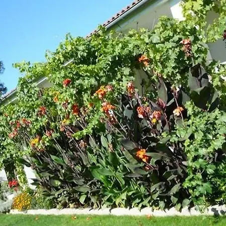 Charming With Private Pool In فيلة *