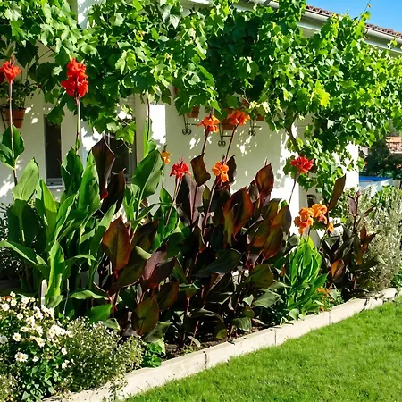 Charming With Private Pool In فيلة La Calzada de Béjar