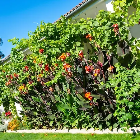 Charming With Private Pool In فيلة