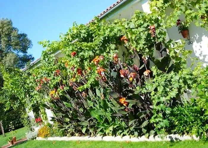 Villa Charming With Private Pool In La Calzada de Béjar